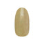 Nail parfait art color gel  A66 Sandy Mustard