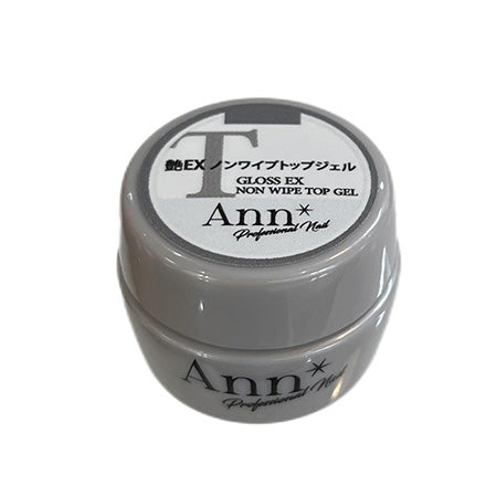 Ann Professional Glossy EX Non-wipe Top Gel 4g