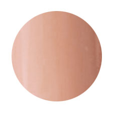 PG-CE209 Dusty Beige 4g Color EX PREGEL