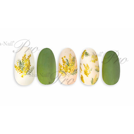 Sha-Nail Pro Mimosa MMS-001