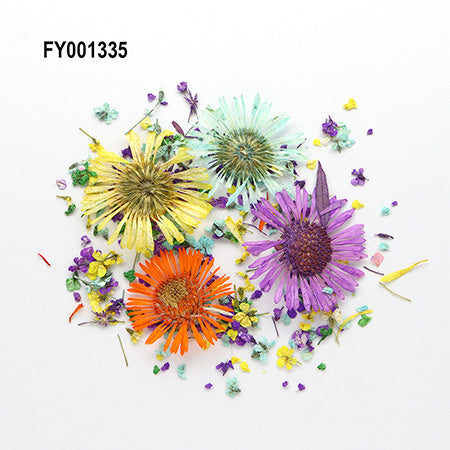 SONAIL Dried Flower Nail Pop Color Spring
