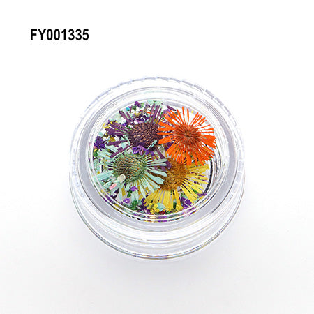 SONAIL Dried Flower Nail Pop Color Spring