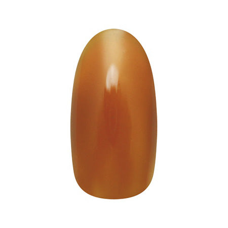 Nail parfait ZACCA by Nail Parfait Color Gel DP4 Ginger 2g