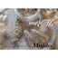 Esmint MythME Posh Lady Series Ｍｏｊｉｔｏ 1g