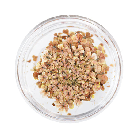 SMint Natural Dry Flower