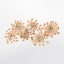 SMint Natural Dry Flower