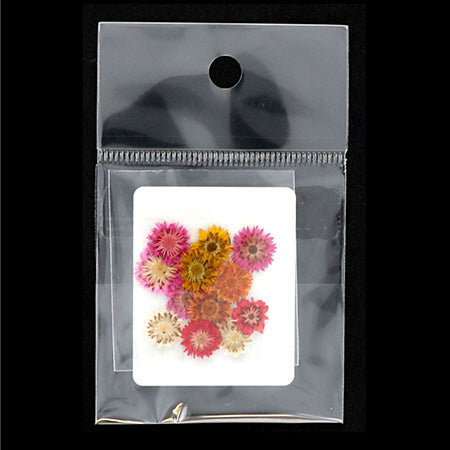 BEAUTY NAILER Dried Flower Yamaha Box Pink ＳＤＦ－２ 10P