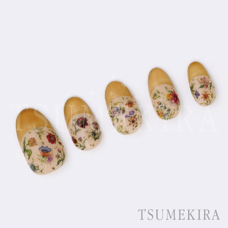 Tsumekira DAISY Produce Blooming