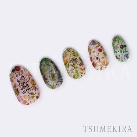 Tsumekira DAISY Produce Bear Fruits