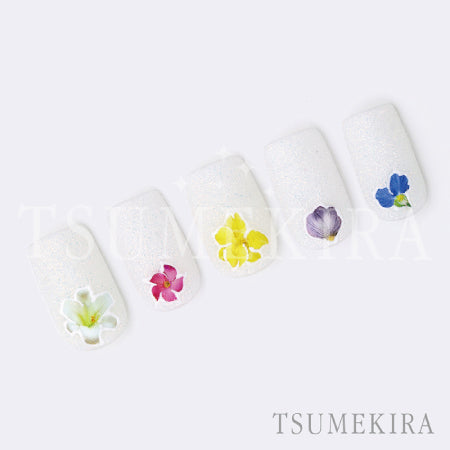 Tsumekira Takeshi Produce Candle Flower