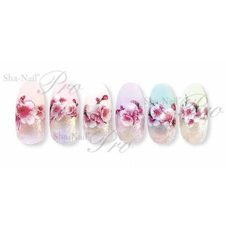 Photography Nail Pro Kanae Sakura