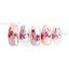 Photography Nail Pro Kanae Sakura