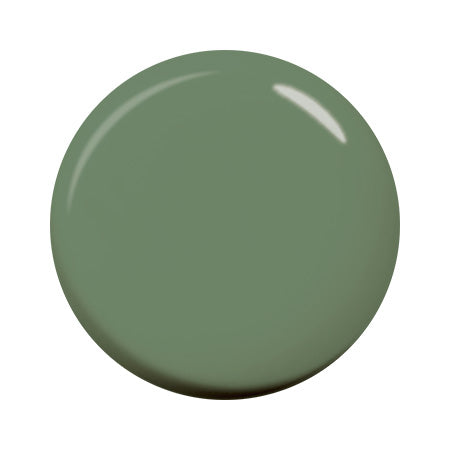 Para Gel See-through Color Gel  ST23 See-through Classic Green 4g