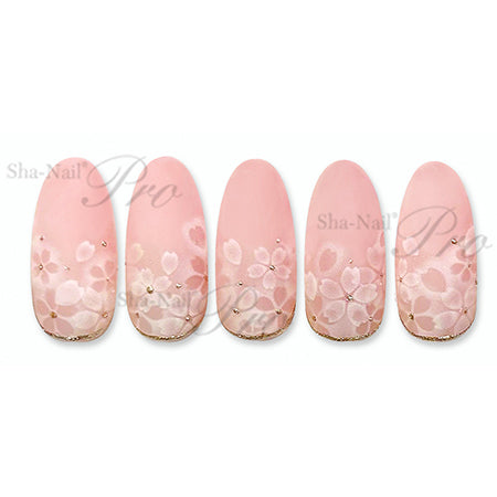 photo nail Plus Gradient Sakura Positive