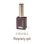emena Magnety Gel 5-color Set 0541-0545 8g x 5 colors
