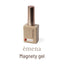 emena Magnety Gel 5-color Set 0025-0029 8g x 5 colors　
