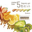emena Magnety Gel 5-color Set 0025-0029 8g x 5 colors　