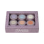 PREGEL Muse Rich Gelato Series 3g x 6 Color Set