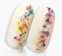 Photo Nail Plus  FRS-RRP01 [French es] Real Pressed Floret