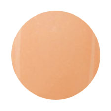 PG-CE503 Pearl Beige 4g Color EX PREGEL