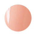 41 Premium Color Gel 2g Nail Parfait