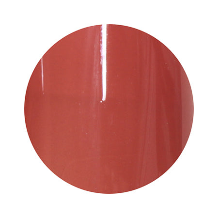 Para P019 4g