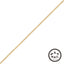 Bonnail Gold Plain Chain S