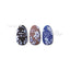 Sha-Nail Pro Winter Flower WF-001