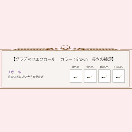 TIARA Gradation Color Lash Brown & Black J Curl 10 mm
