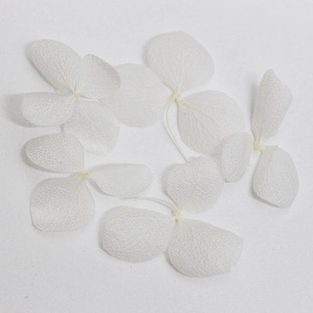 SHAREYDVA Dry Flower Hydrangea White
