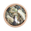 jou jou original ◆ Coral Mix Shell (LIMITED)