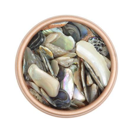 jou jou original ◆ Coral Mix Shell (LIMITED)