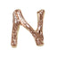 Bonnail Alphabet Charm Pink Gold N