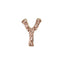 Bonnail Alphabet Charm Mini Pink Gold Y
