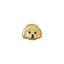 Bonnail Poodle 1 Gold
