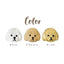 Bonnail Poodle 2 Gold