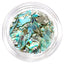 Bonnail Maximum Shell Mix Ocean