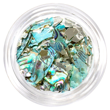 Bonnail Maximum Shell Mix Ocean