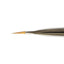 GELGRAPH Gel Brush Gradation