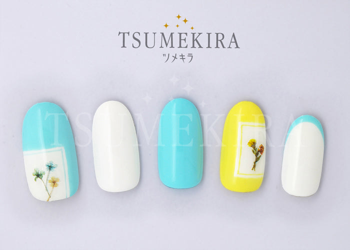 Tsumekira Dried Flowers2 NN-DFC-201