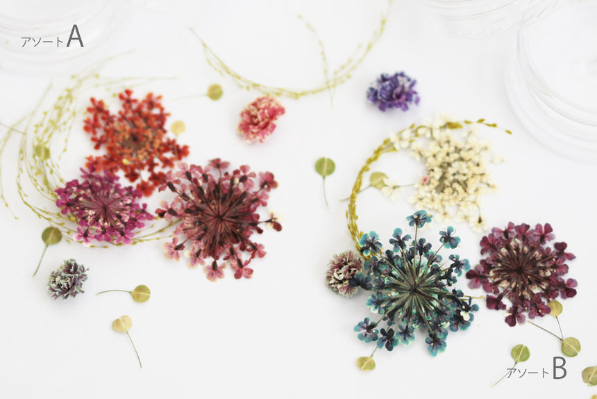 Esmint SMint Dried Flower Assort A