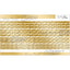 Copy Nail Charm   Fortune   Line Gold
