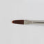 SHAREYDVA Gel Brush Fill in plus (with cap)