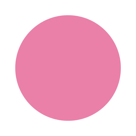 PREGEL Primdor Muse PDU-M579 Masheri Pink 3G