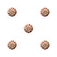 Bonnail spiral fit studs  Pinkgold 2.5 mm   40P