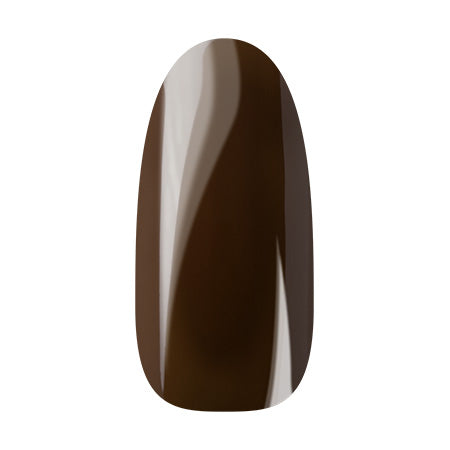 Ann Professional Color Gel 019  Chocolate brown 4g