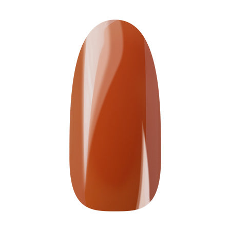 Ann Professional  Color Gel 040  Orange 4g