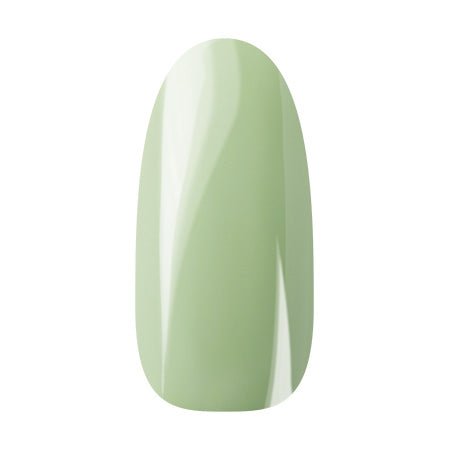 Ann Professional  Color Gel 046  Pastel green 4g