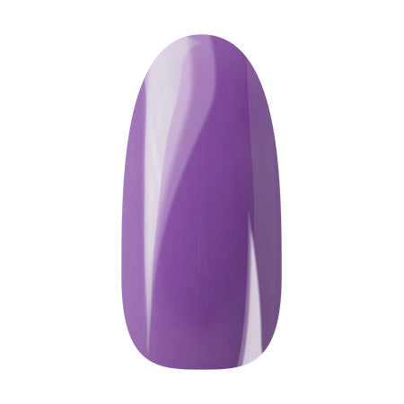 Ann Professional  Color Gel 054  Purple  4g