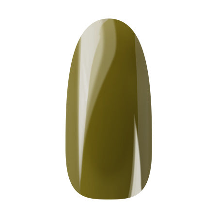 Ann Professional Color Gel 091 Olive green 4g
